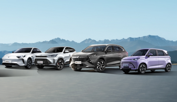 ������������ȫ���������� ���ʲ���СͶ�룬Ѱ���г����ж��ɡ�